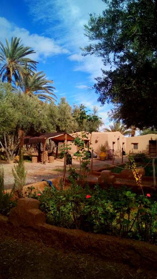 فندق Eco-Ferme Tamalait سكورة المظهر الخارجي الصورة