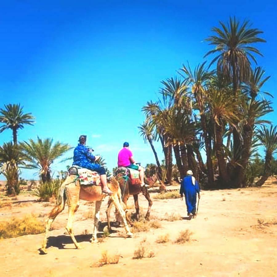 فندق Eco-Ferme Tamalait سكورة المظهر الخارجي الصورة
